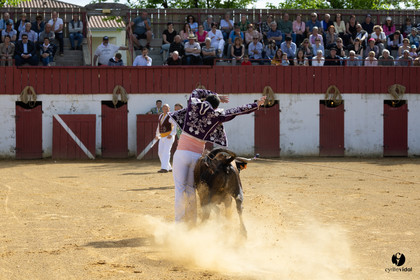 2023-05-08-1214.jpg