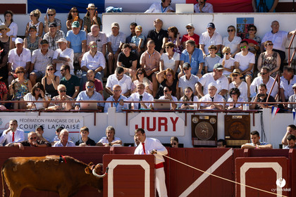Aire-sur-l'Adour Championnat de France de course landaise 2023