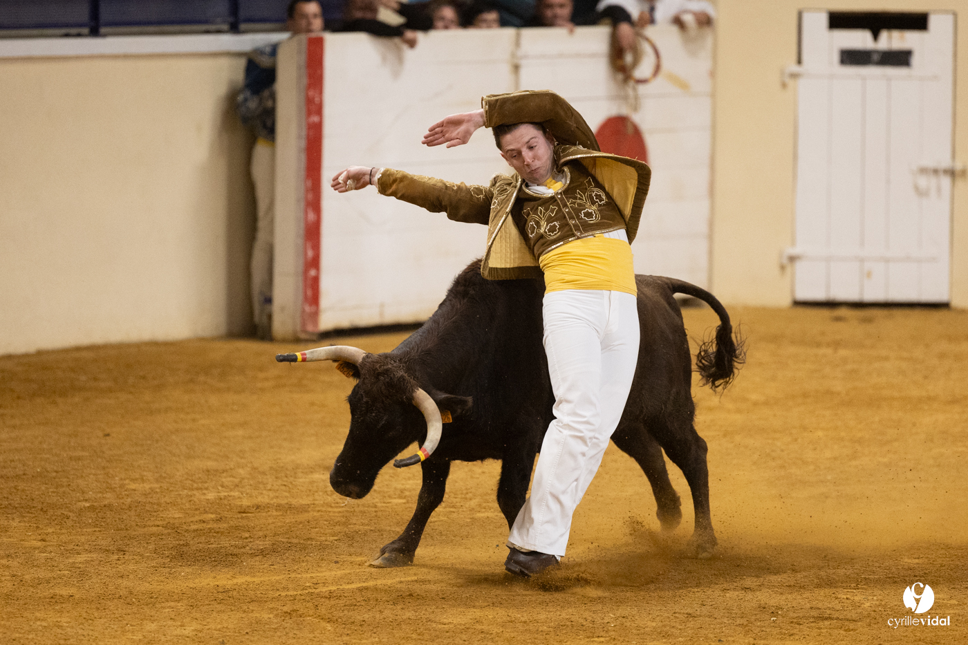 Horsarrieu course landaise du boléro d'Argent