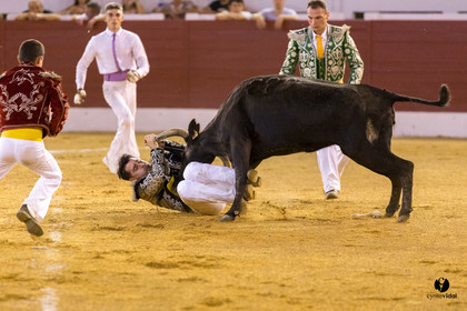 Aire sur l'Adour course landaise génération Aturine