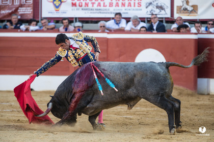 Mont-de-Marsan corrida d'Adolfo Martin