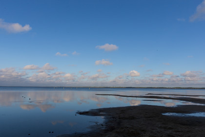 Paysages des Landes