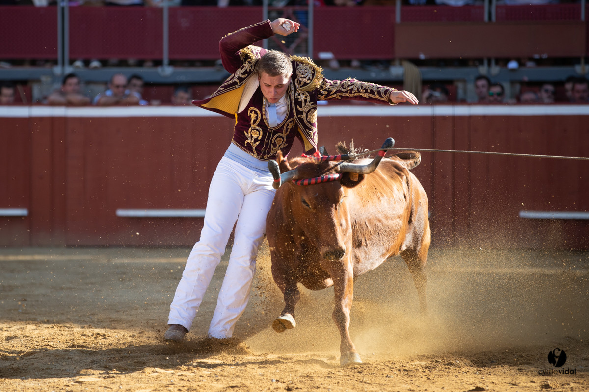Mont-de-Marsan championnat de France de course landaise 2019