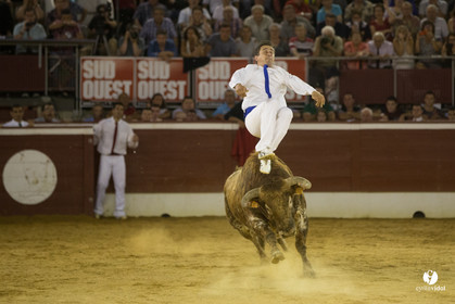 course landaise