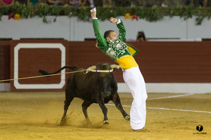 Aire sur l'Adour course landaise génération Aturine