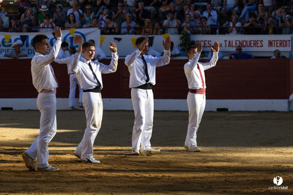 Aire-sur-l'Adour Championnat de France de course landaise 2023