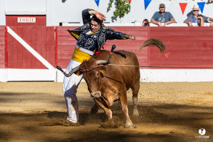 Aire-sur-l'Adour Championnat de France de course landaise 2023