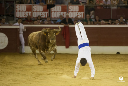 course landaise