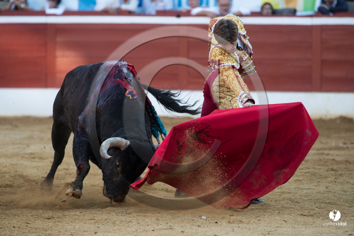 Mont-de-Marsan corrida de Dolores Aguirre pour Octavio Chacon - Pepe Moral - Juan Léal