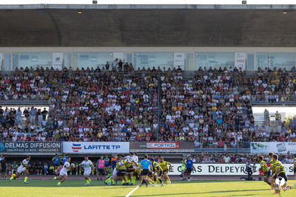 2024-08-22-1219.jpg