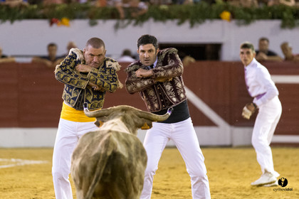 Aire sur l'Adour course landaise génération Aturine