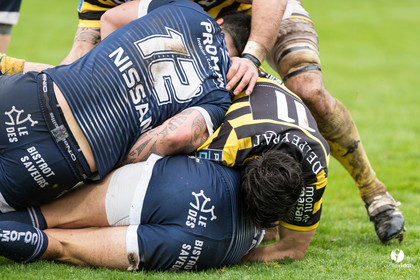 Stade Montois Rugby - Colomiers