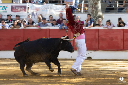 Nogaro Championnat de France de course landaise 2022