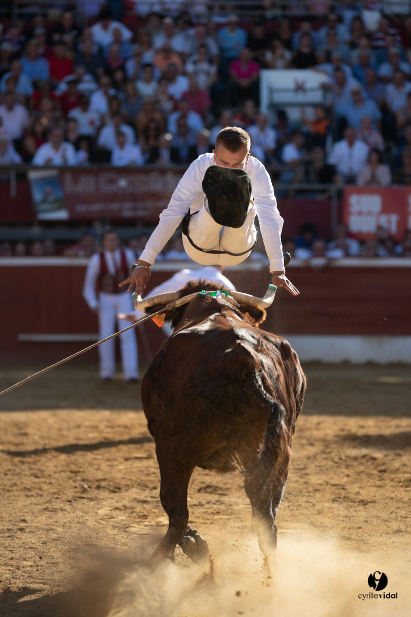 Mont-de-Marsan championnat de France de course landaise 2019