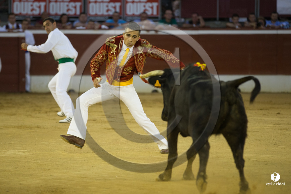 course landaise