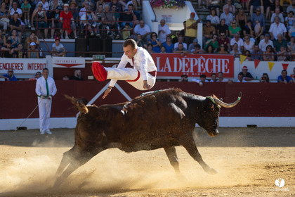 Aire-sur-l'Adour Championnat de France de course landaise 2023