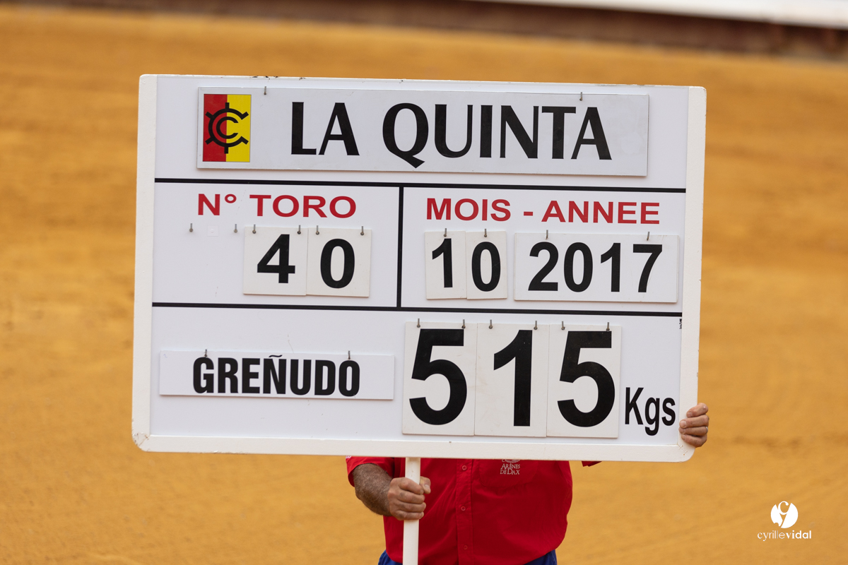 1488.jpg