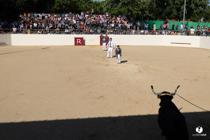 2023-07-02-2459.jpg