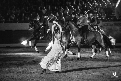 Landes émotions à Aire-sur-l'Adour