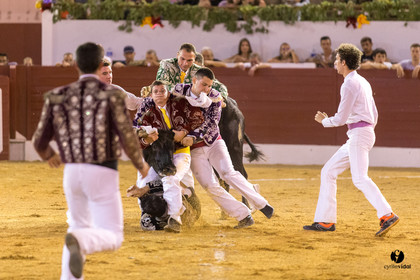 Aire sur l'Adour course landaise génération Aturine