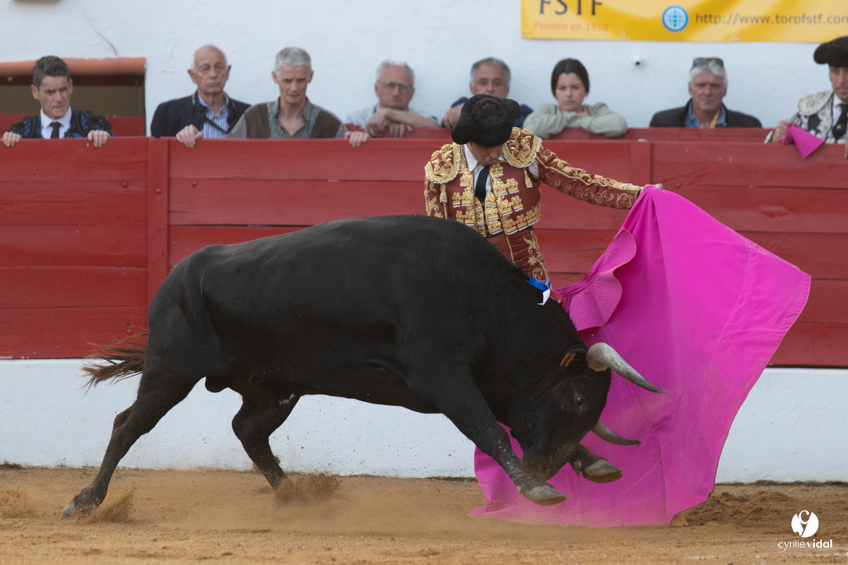 Corrida Aignan