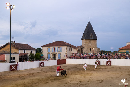 2025-07-11-2183.jpg