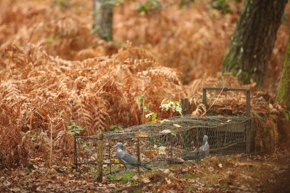 2008-10-28-2074.jpg