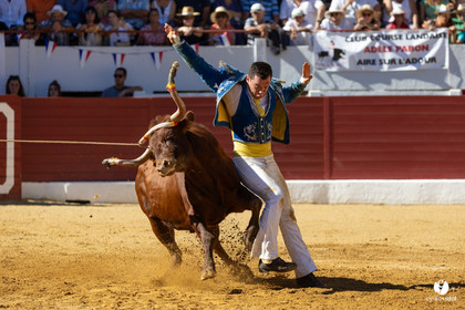 Aire-sur-l'Adour Championnat de France de course landaise 2023