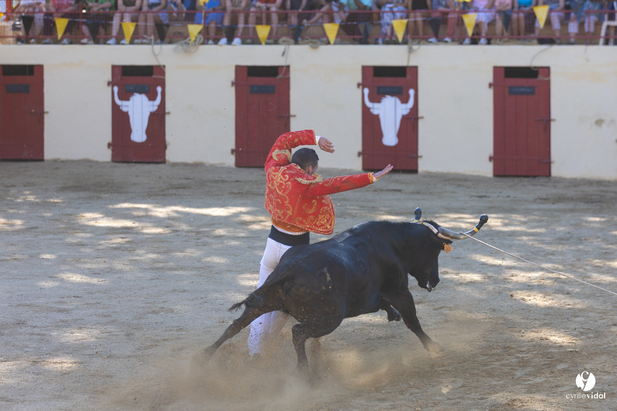 Course landaise