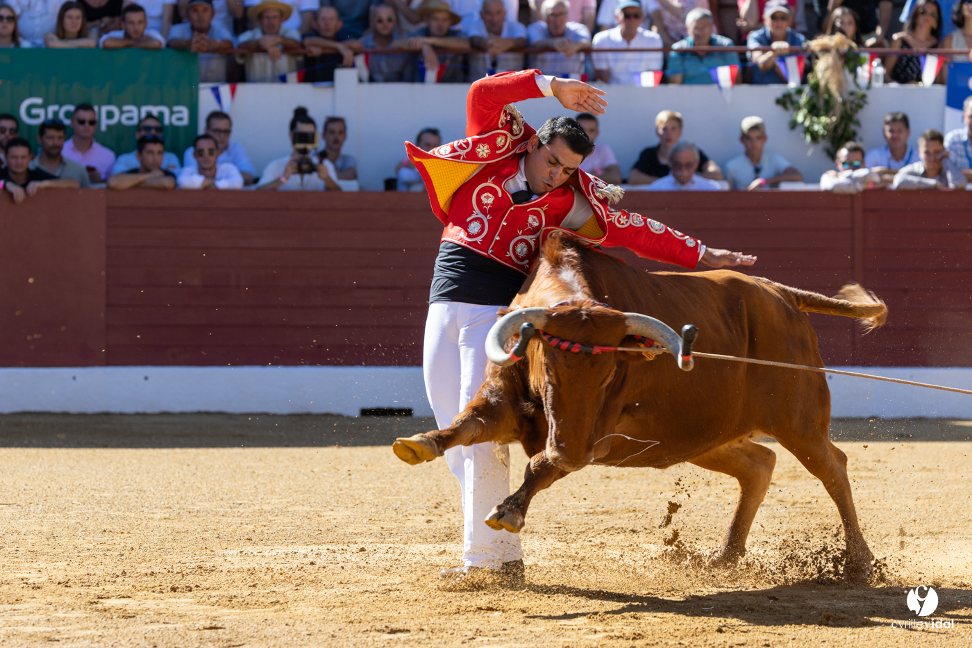 Aire-sur-l'Adour Championnat de France de course landaise 2023 Aire-sur-l'Adour Championnat de France de course landaise 2023