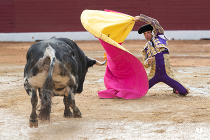 Corrida d'Aire sur l'Adour