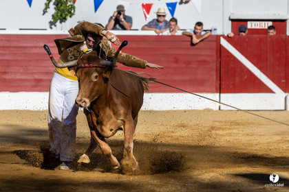 Aire-sur-l'Adour Championnat de France de course landaise 2023