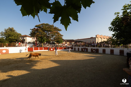 2025-07-05-1952.jpg