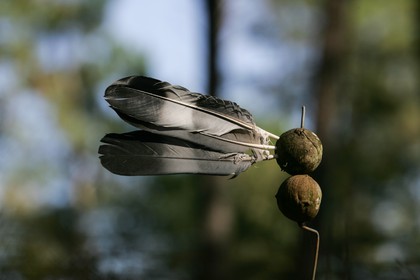 2005-10-27-9977.jpg
