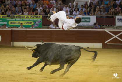 course landaise