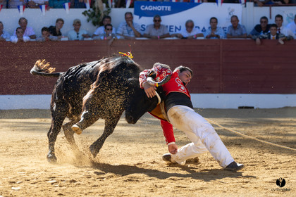Aire-sur-l'Adour Championnat de France de course landaise 2023