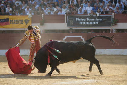 corrida, toro, vic fezensac, alcurrucen, michelito, morenito de aranda