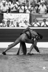 Mont-de-Marsan corrida de Jandilla pour Padilla - Talavante - Roca Rey