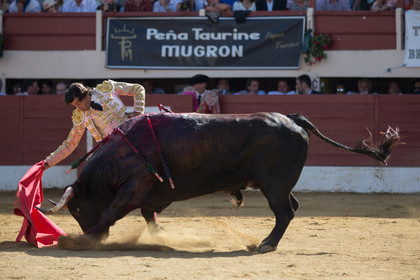 corrida, toro, vic fezensac, alcurrucen, michelito, morenito de aranda
