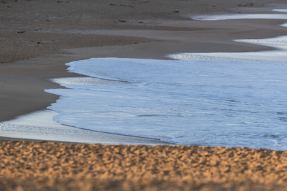 Paysages des Landes