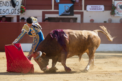 corrida, toro, vic fezensac, alcurrucen, michelito, morenito de aranda