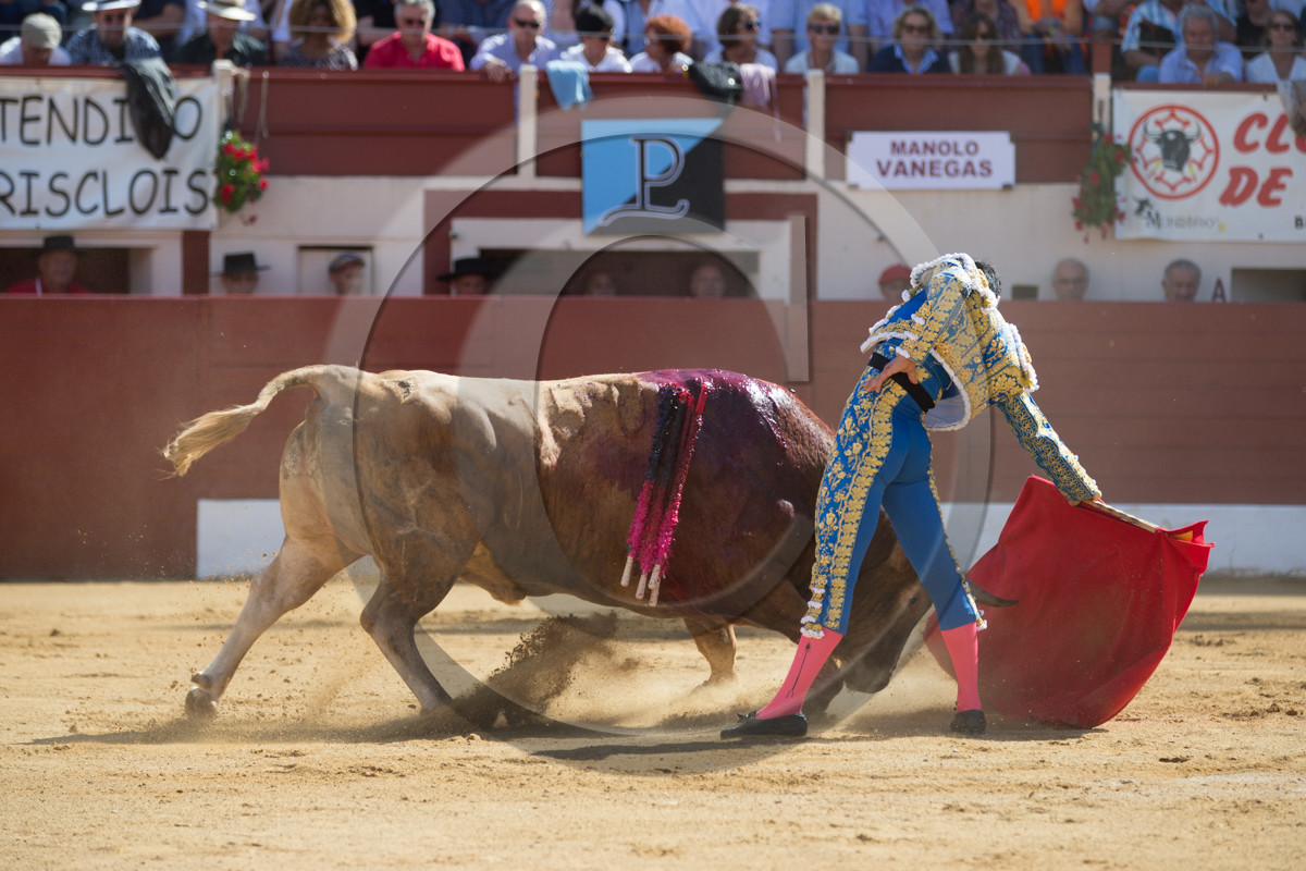 corrida, toro, vic fezensac, alcurrucen, michelito, morenito de aranda