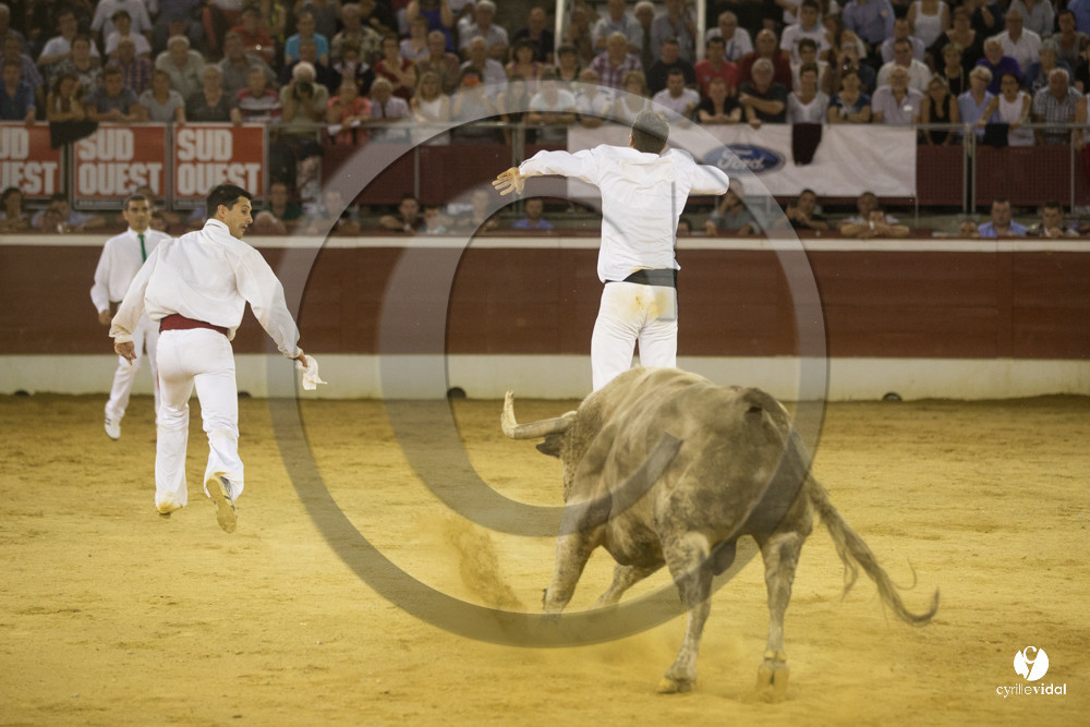 course landaise
