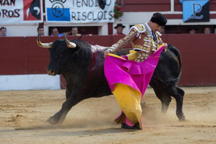 corrida, toro, vic fezensac, alcurrucen, michelito, morenito de aranda