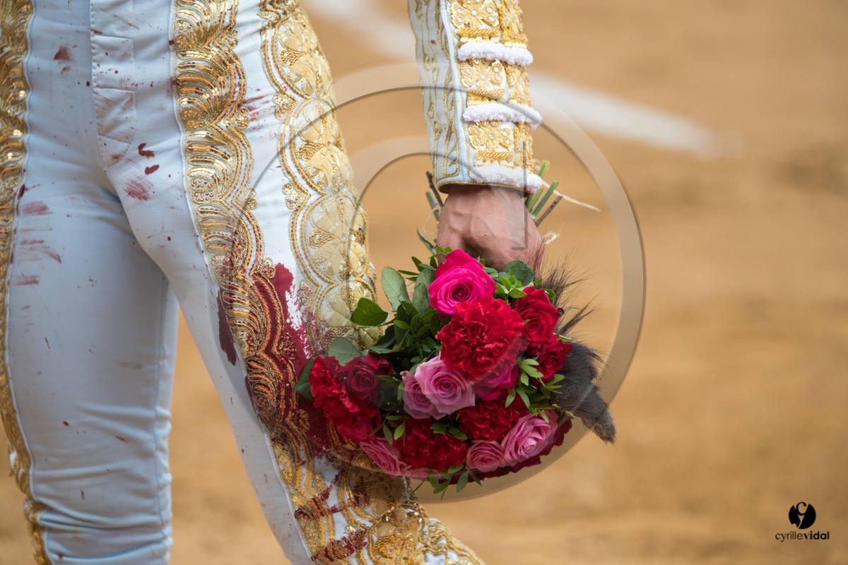 Mont-de-Marsan corrida de Garcigrande pour El Juli et Juan Bautista Mont-de-Marsan corrida de Garcigrande pour El Juli et Juan Bautista