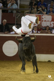 course landaise