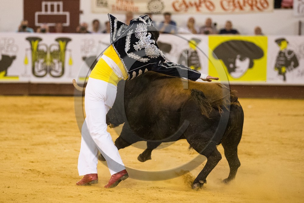 1269.jpg