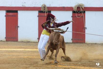 Course landaise à Panjas
