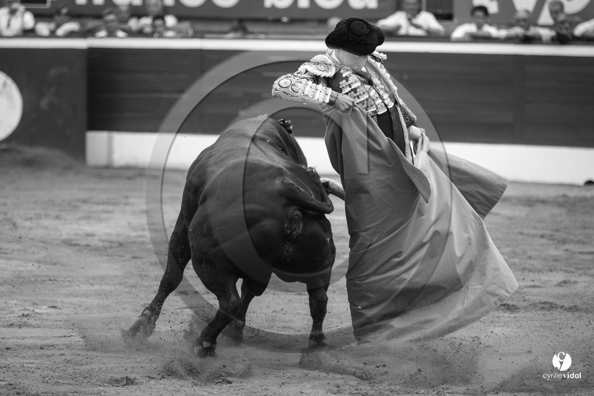 Mont-de-Marsan corrida de Jandilla pour Padilla - Talavante - Roca Rey