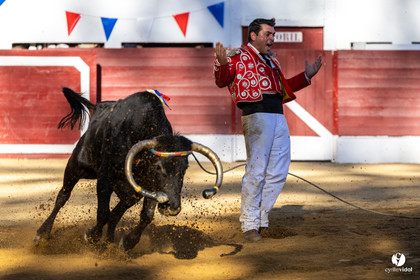 Aire-sur-l'Adour Championnat de France de course landaise 2023